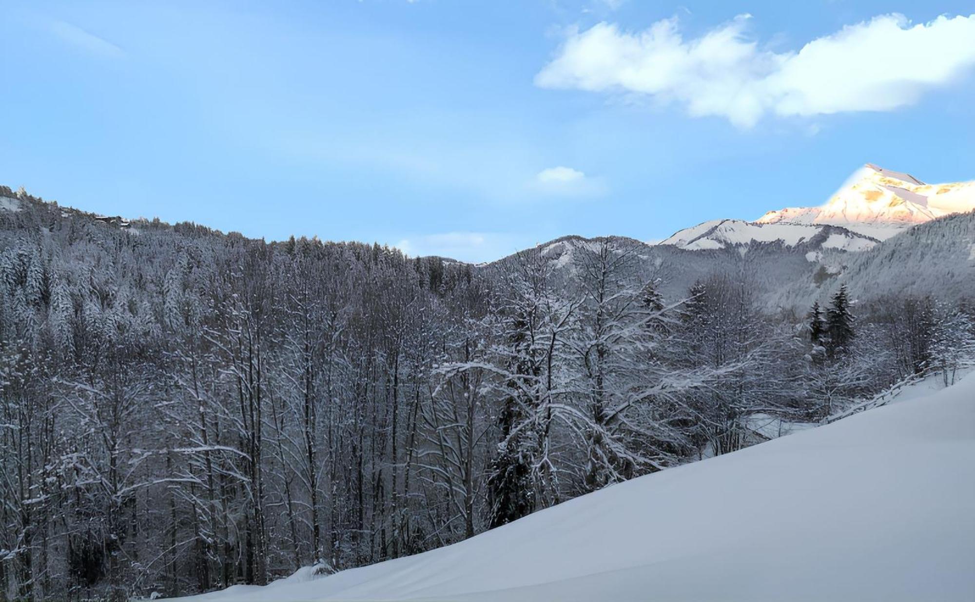 Appartement Confortable Avec Vue Sur La Montagne Нотр-Дам-де-Белькомб Экстерьер фото